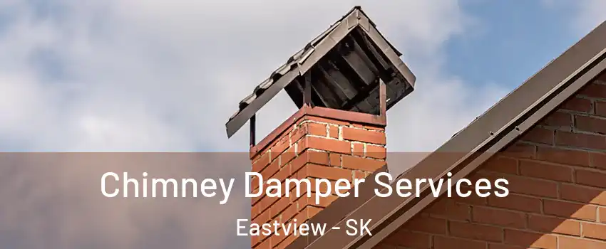  Chimney Damper Services Eastview - SK