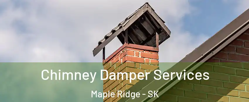  Chimney Damper Services Maple Ridge - SK