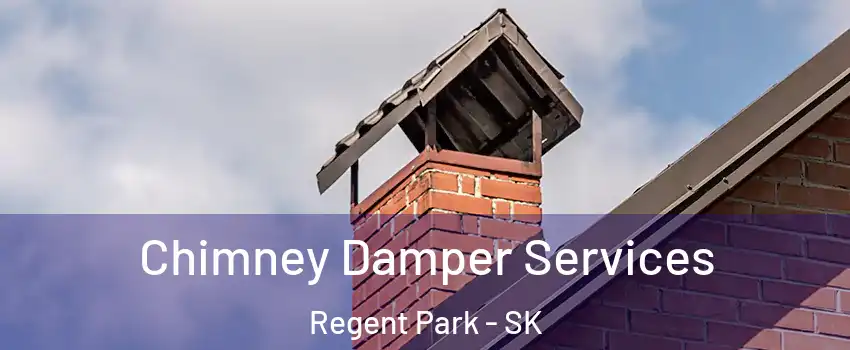  Chimney Damper Services Regent Park - SK