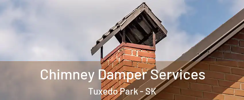  Chimney Damper Services Tuxedo Park - SK