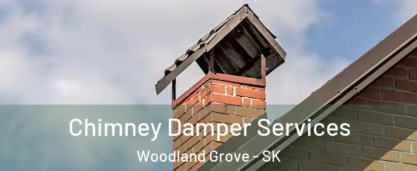  Chimney Damper Services Woodland Grove - SK