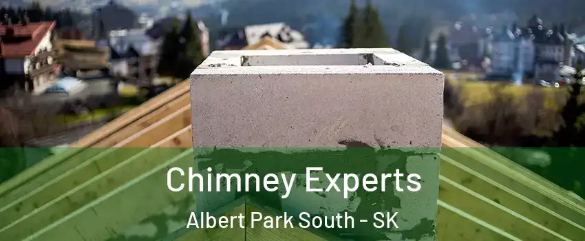 Chimney Experts Albert Park South - SK