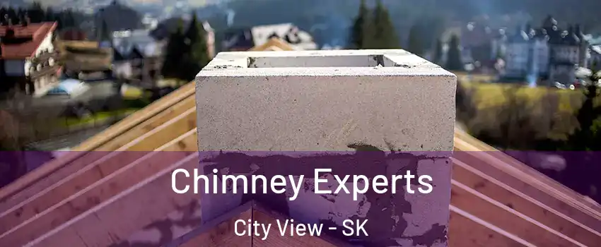 Chimney Experts City View - SK