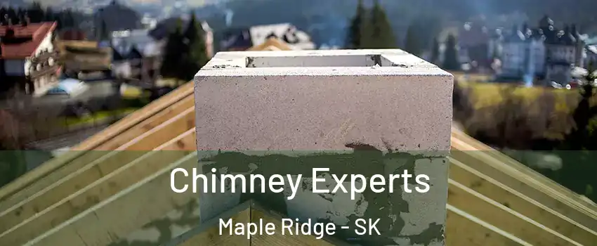Chimney Experts Maple Ridge - SK