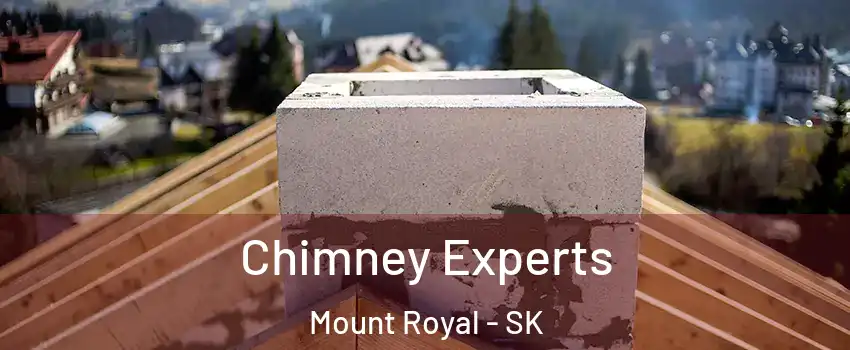 Chimney Experts Mount Royal - SK