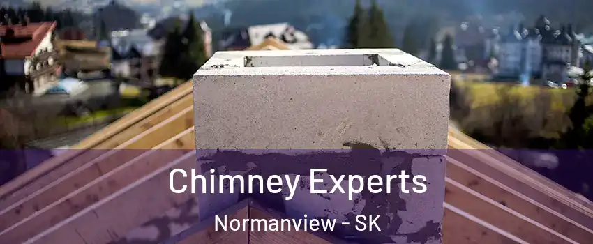 Chimney Experts Normanview - SK