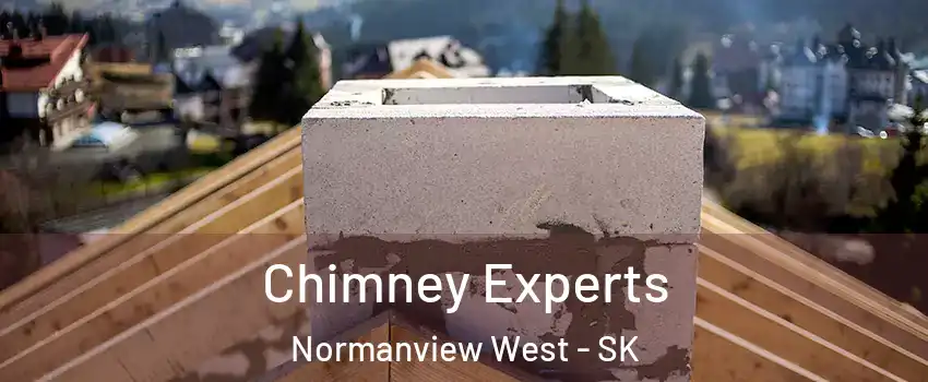 Chimney Experts Normanview West - SK