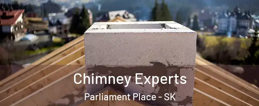 Chimney Experts Parliament Place - SK