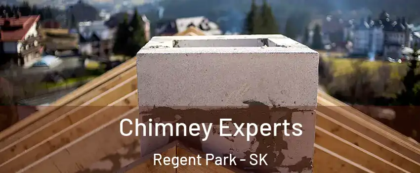 Chimney Experts Regent Park - SK