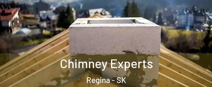 Chimney Experts Regina - SK