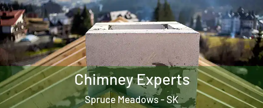 Chimney Experts Spruce Meadows - SK