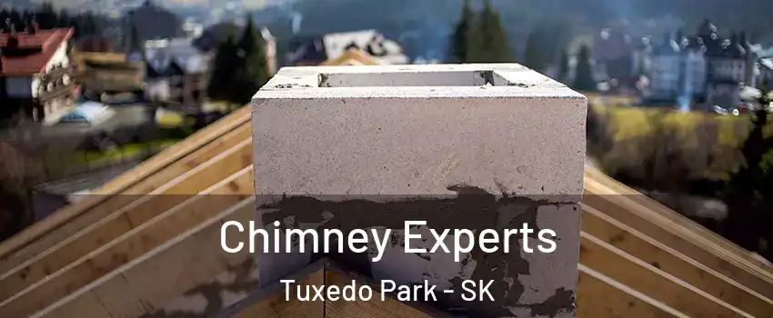 Chimney Experts Tuxedo Park - SK