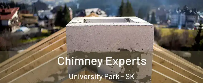 Chimney Experts University Park - SK