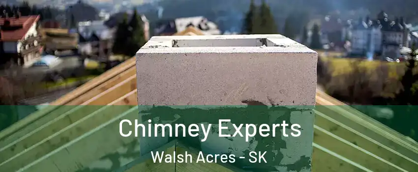 Chimney Experts Walsh Acres - SK
