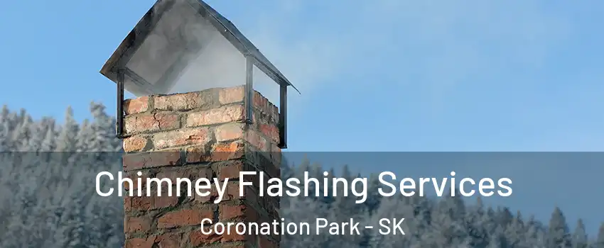Chimney Flashing Services Coronation Park - SK