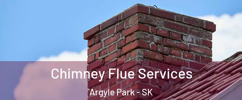  Chimney Flue Services Argyle Park - SK