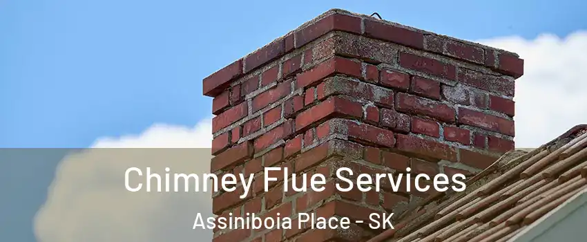  Chimney Flue Services Assiniboia Place - SK