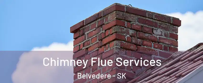  Chimney Flue Services Belvedere - SK