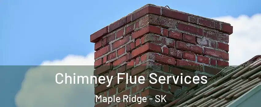  Chimney Flue Services Maple Ridge - SK