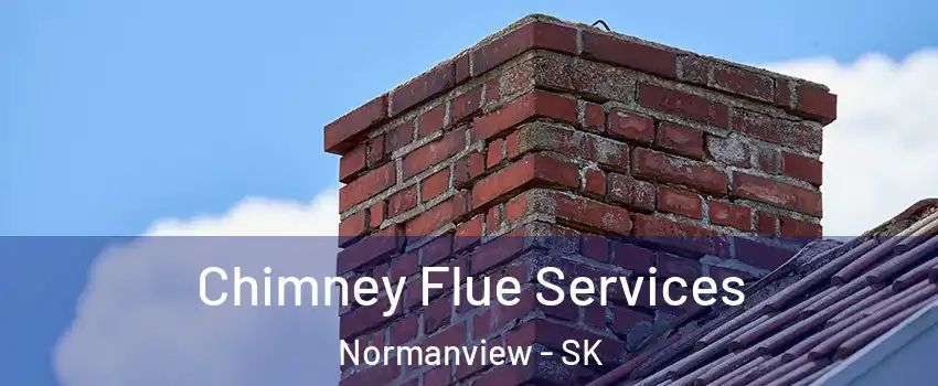  Chimney Flue Services Normanview - SK