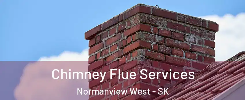  Chimney Flue Services Normanview West - SK