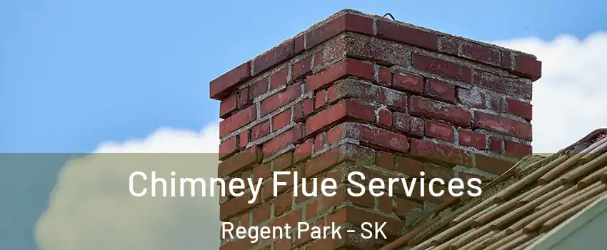  Chimney Flue Services Regent Park - SK