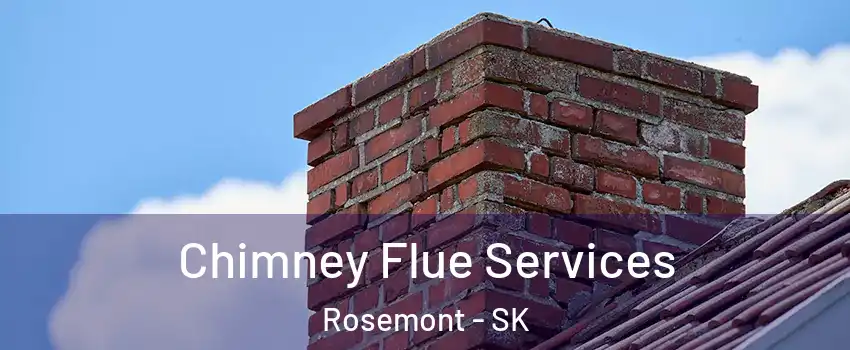  Chimney Flue Services Rosemont - SK