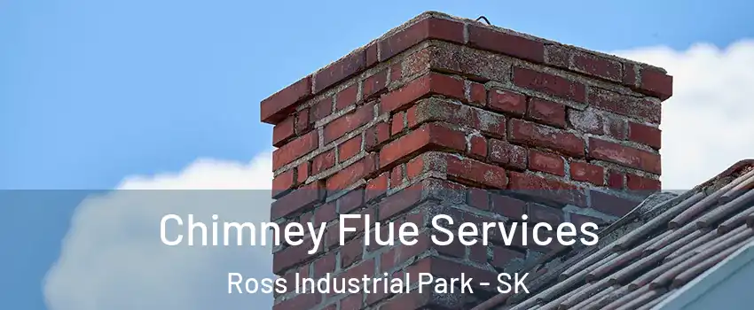  Chimney Flue Services Ross Industrial Park - SK