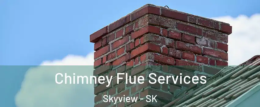  Chimney Flue Services Skyview - SK