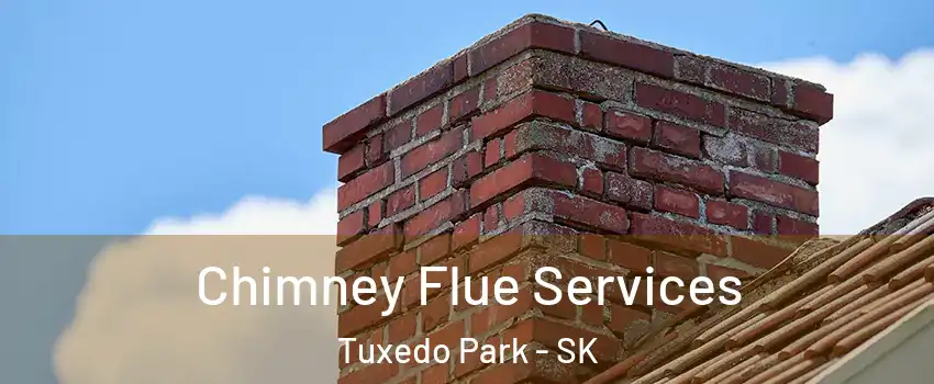  Chimney Flue Services Tuxedo Park - SK