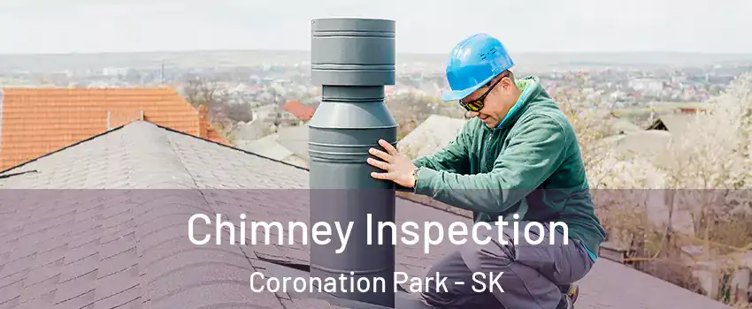  Chimney Inspection Coronation Park - SK