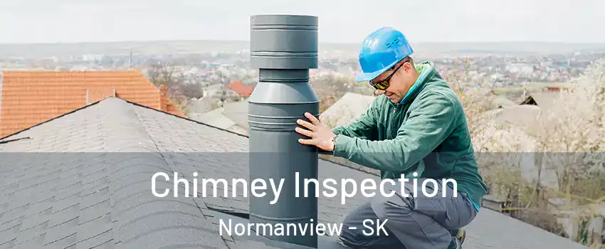  Chimney Inspection Normanview - SK