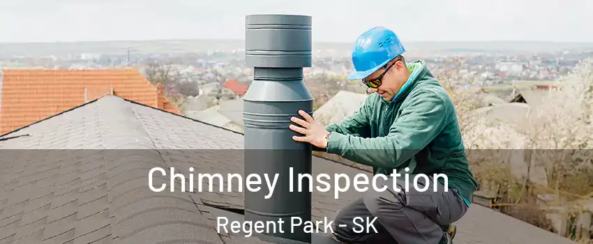  Chimney Inspection Regent Park - SK