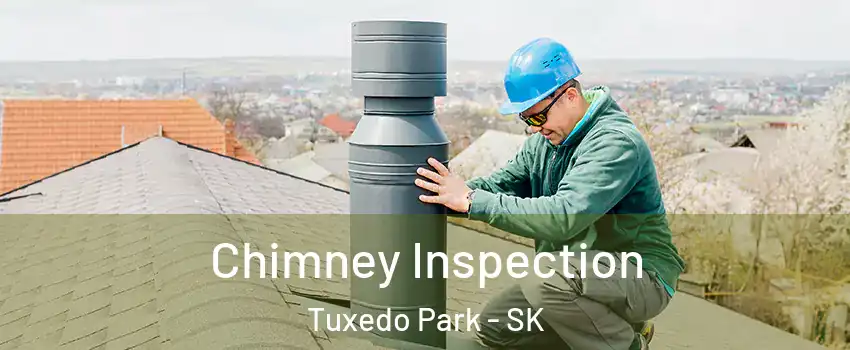  Chimney Inspection Tuxedo Park - SK