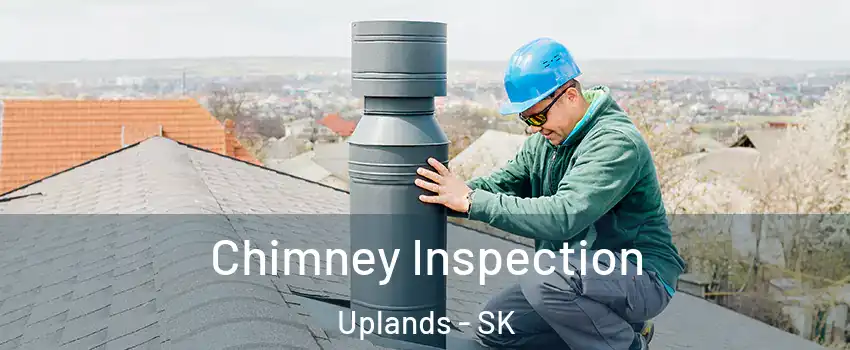 Chimney Inspection Uplands - SK