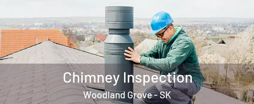  Chimney Inspection Woodland Grove - SK
