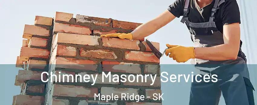  Chimney Masonry Services Maple Ridge - SK