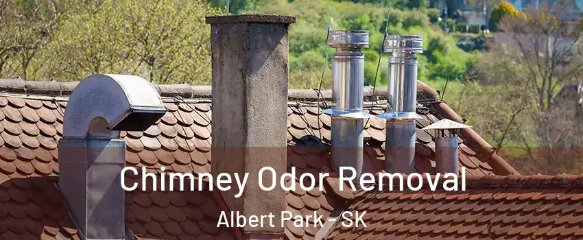  Chimney Odor Removal Albert Park - SK