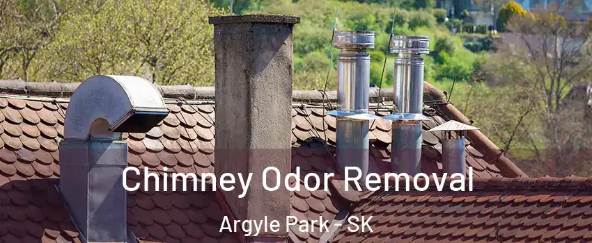  Chimney Odor Removal Argyle Park - SK