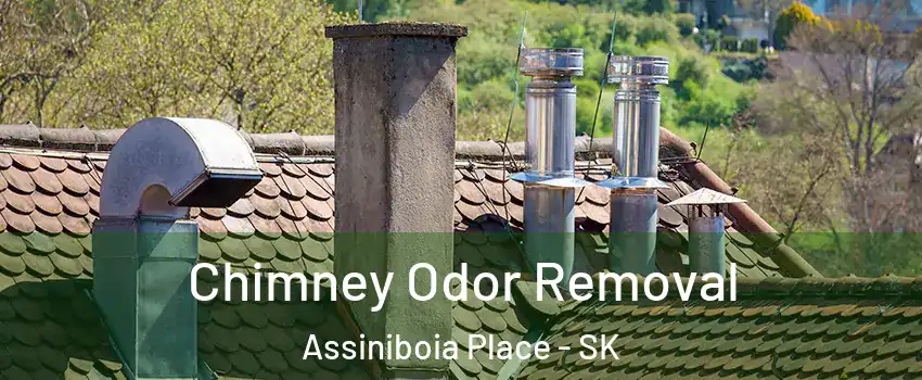  Chimney Odor Removal Assiniboia Place - SK