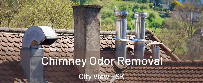  Chimney Odor Removal City View - SK