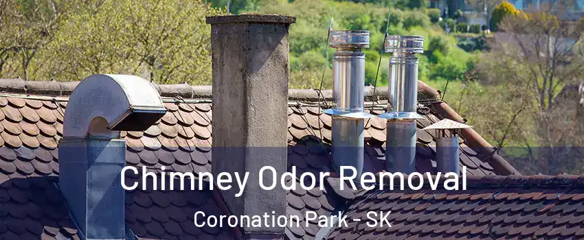  Chimney Odor Removal Coronation Park - SK