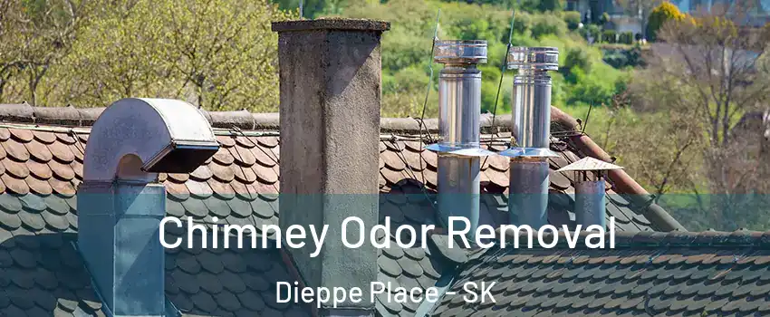  Chimney Odor Removal Dieppe Place - SK