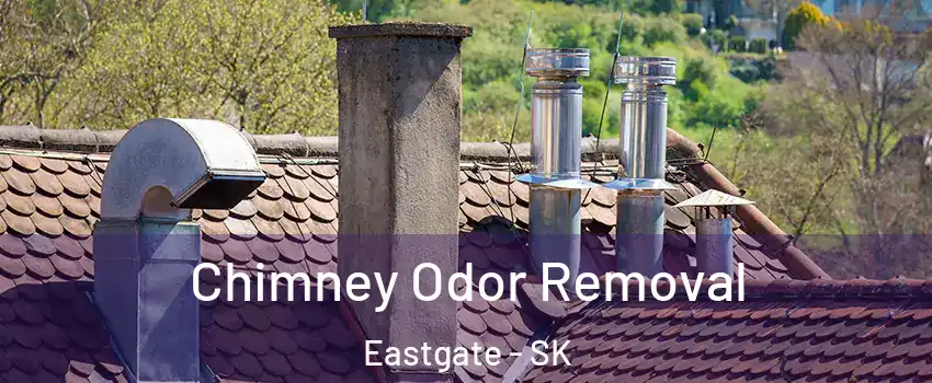  Chimney Odor Removal Eastgate - SK