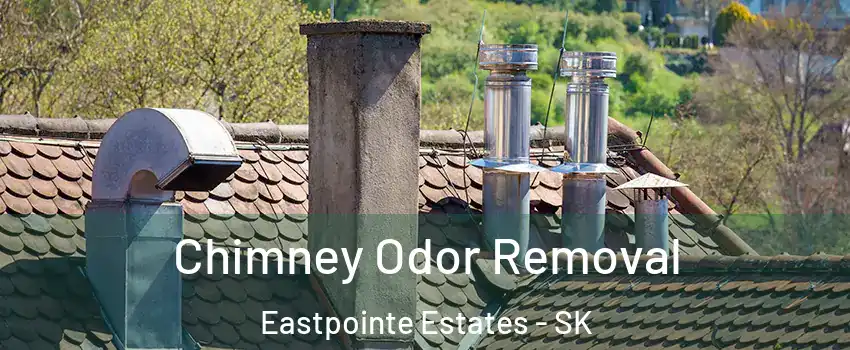  Chimney Odor Removal Eastpointe Estates - SK