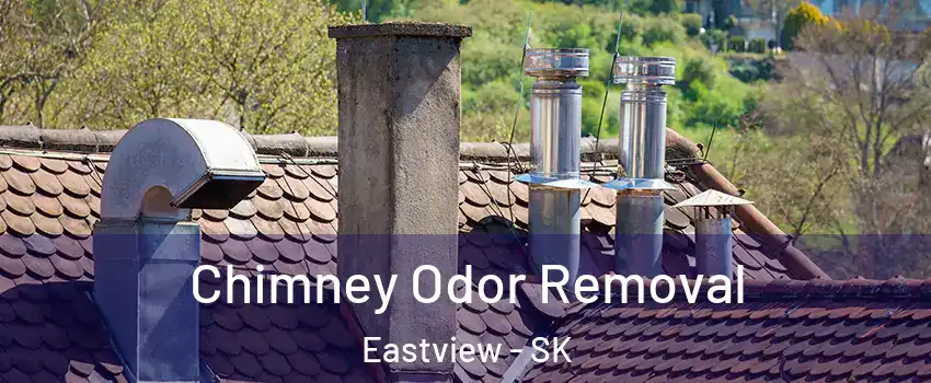  Chimney Odor Removal Eastview - SK