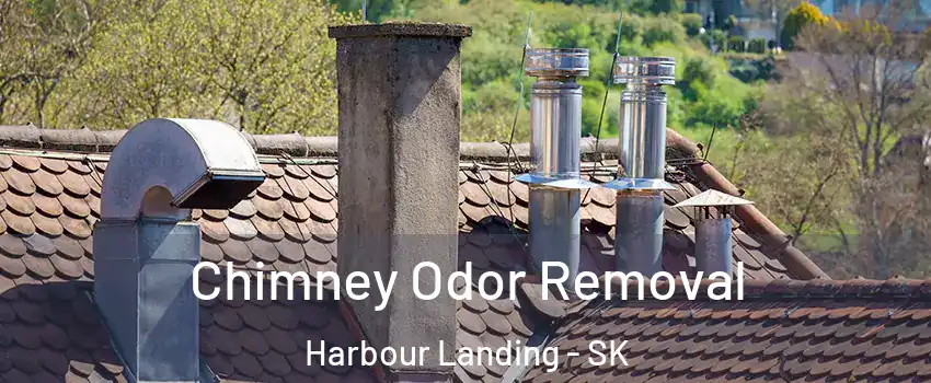  Chimney Odor Removal Harbour Landing - SK