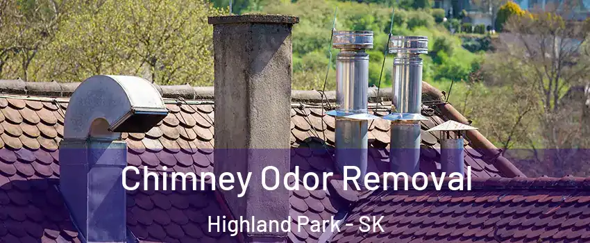  Chimney Odor Removal Highland Park - SK