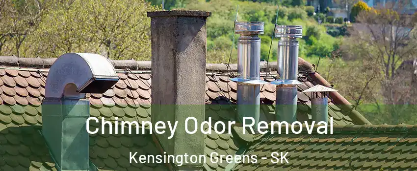  Chimney Odor Removal Kensington Greens - SK