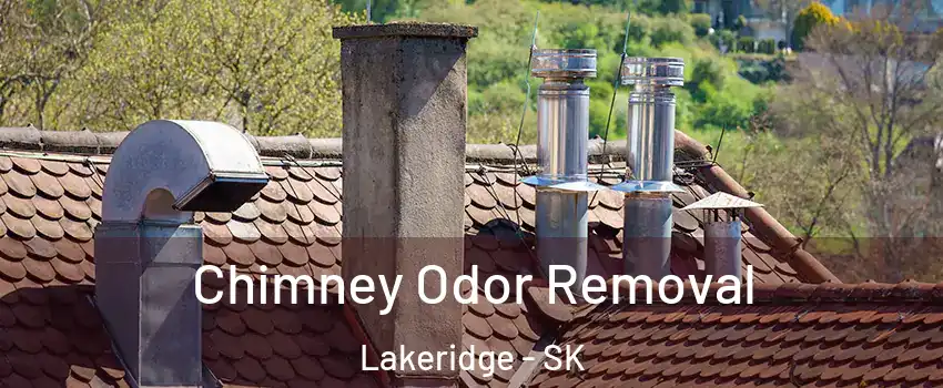  Chimney Odor Removal Lakeridge - SK